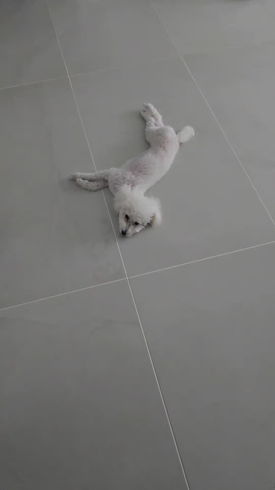 @코우