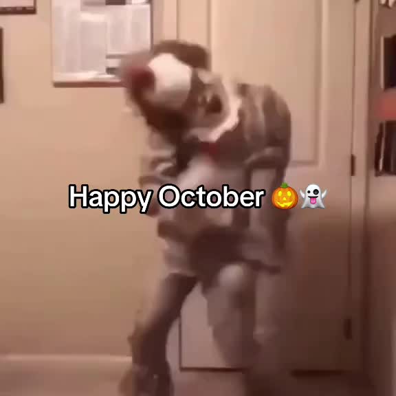@Oldschoolcoolvibes