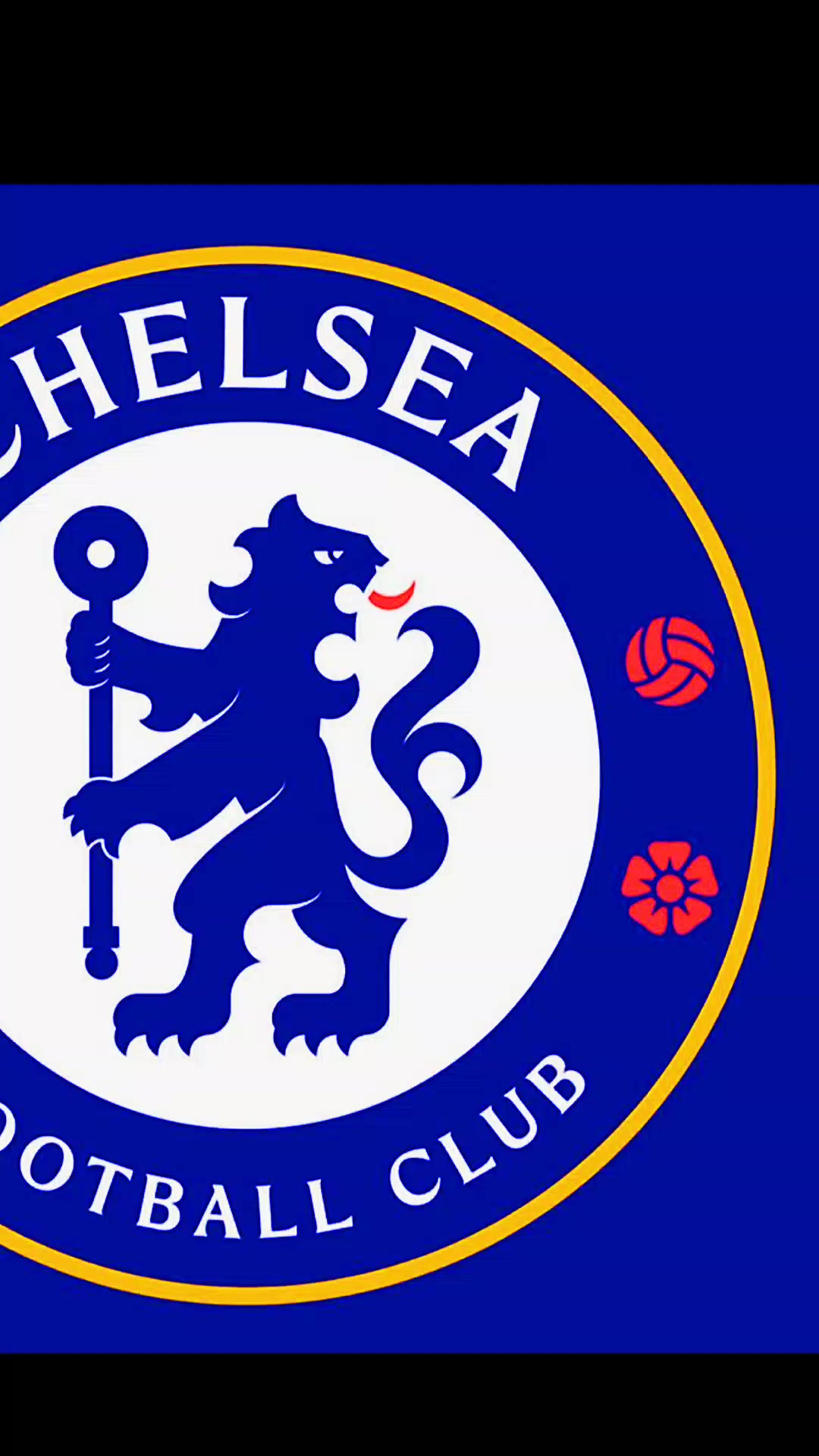 @chelseafcfans12