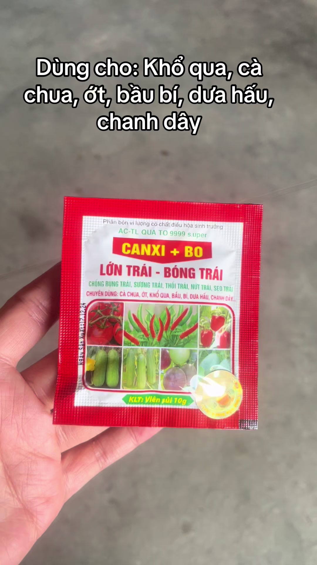 @VTNN Trung Hiếu 1