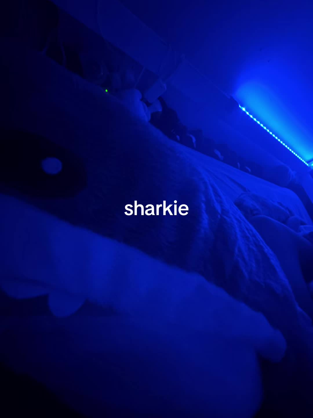 @6wrexx