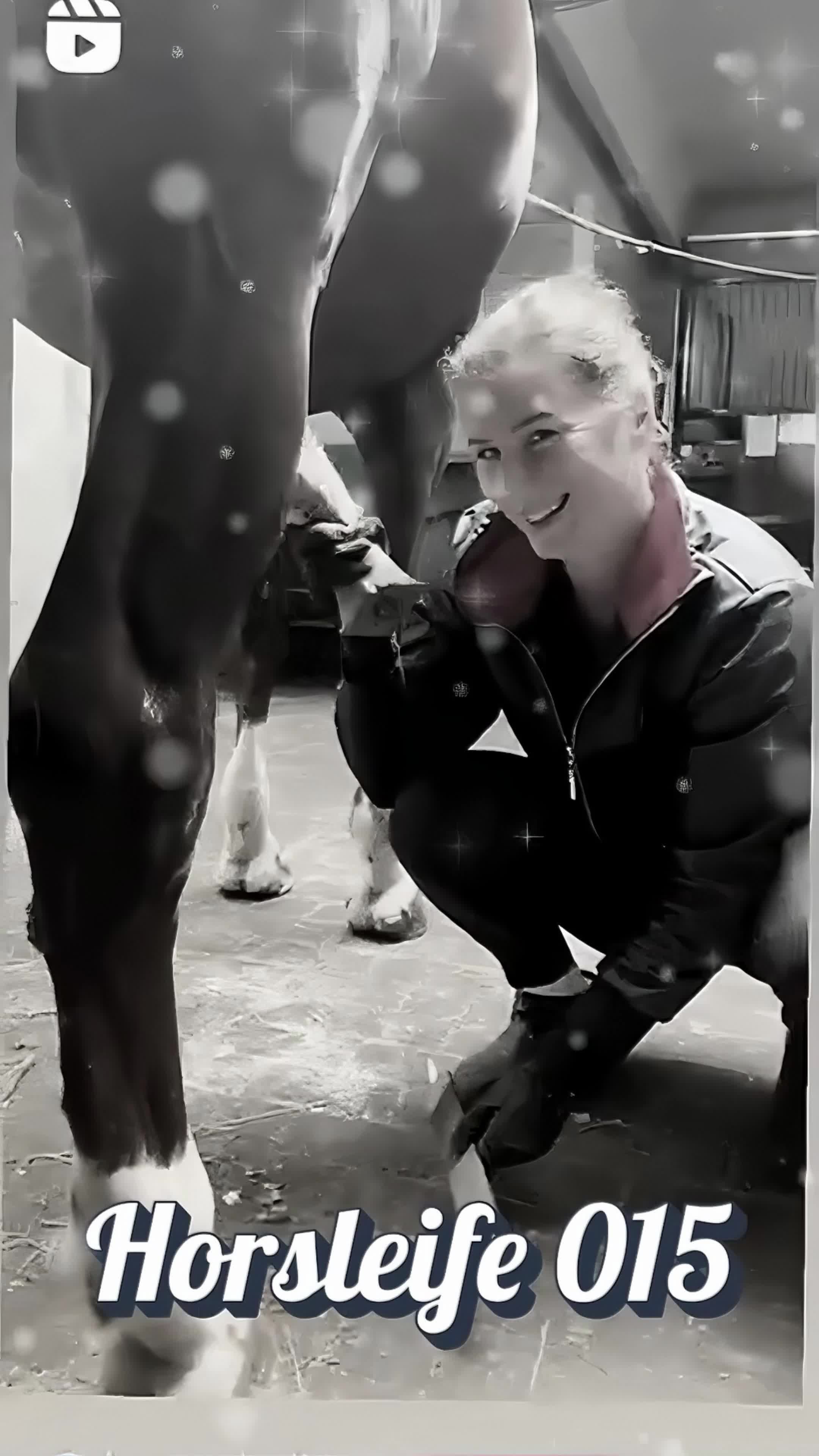 @horselife015