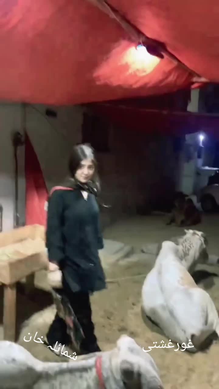 @samina khan