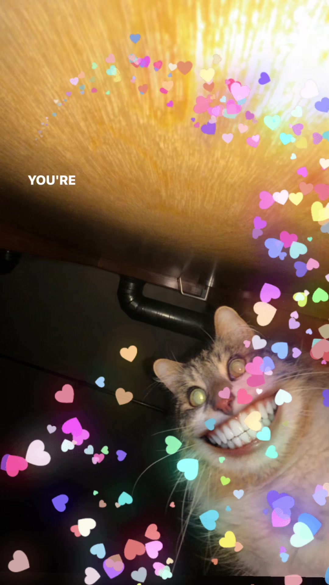 @pete