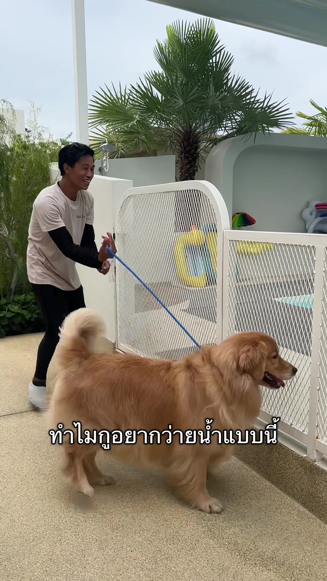 @ตินติน โกเด้นตาเหล๋