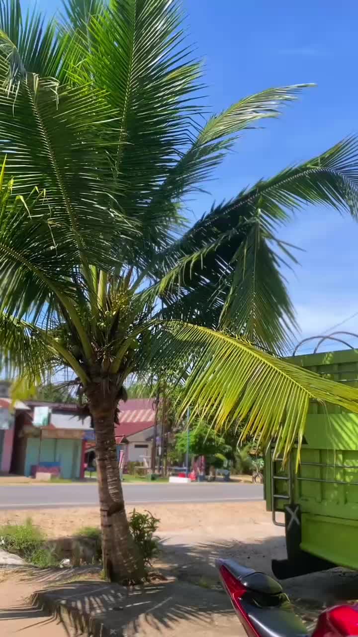 @deyong25