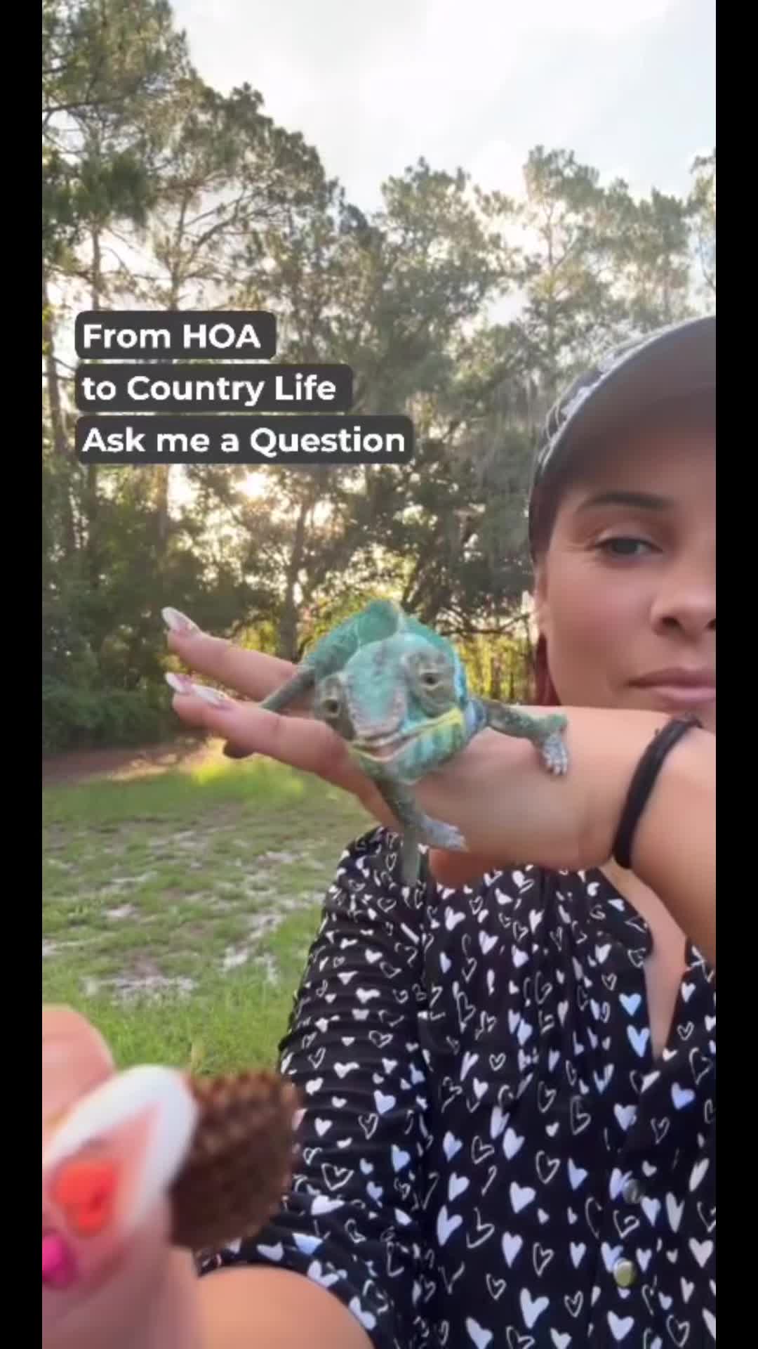 @KTeamAdventures🚜💛🦋