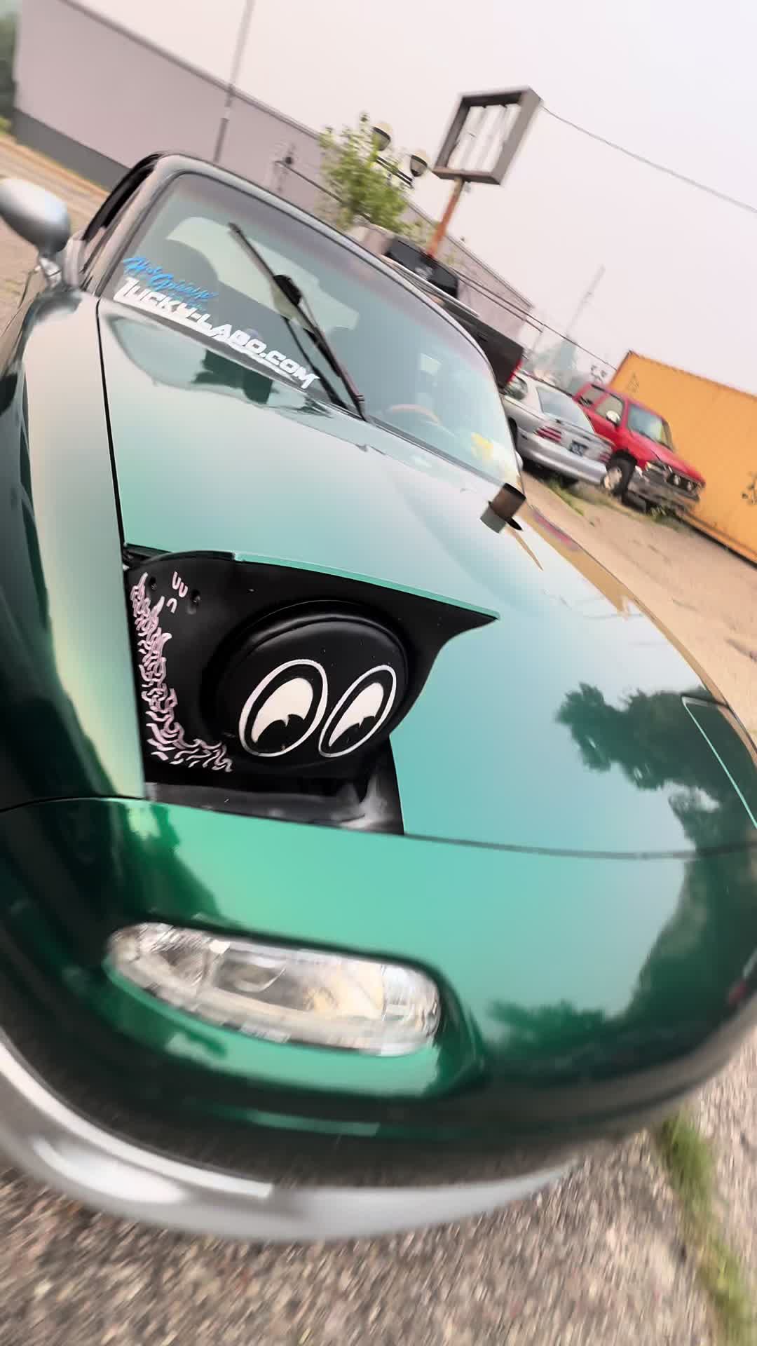 @๐ ๐ฉ๐๐ถ๐ฑ๐ฌ๐ซโค๏ธ๐ฅ