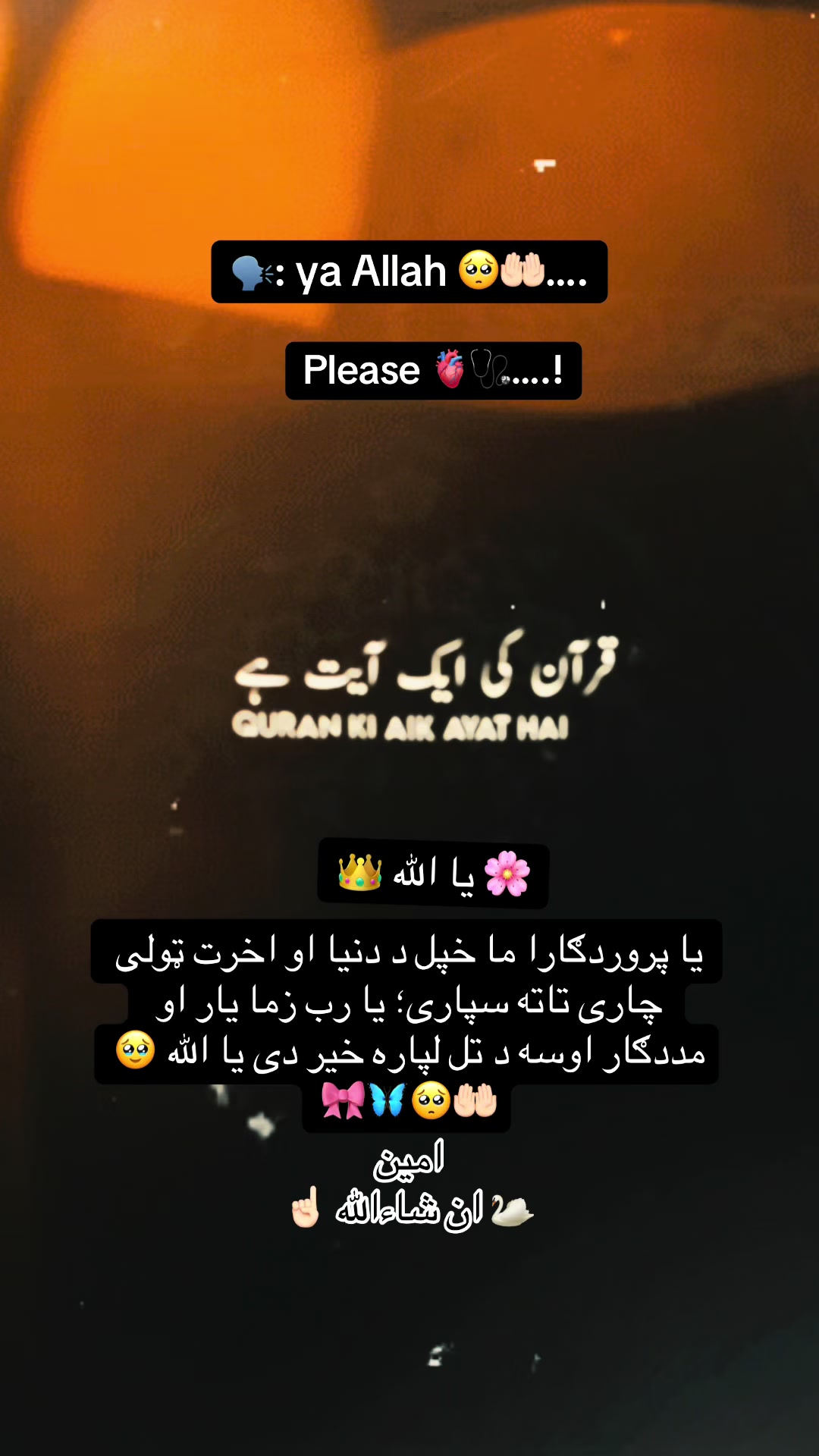 @👑🩺~Jannat~🤍🦋🇺🇸