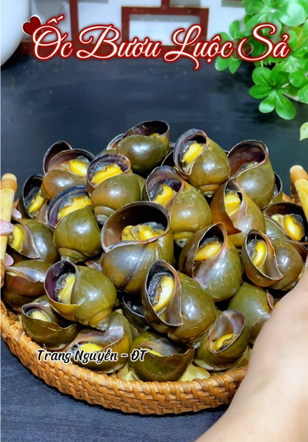 @Trang Nguyễn - ĐT