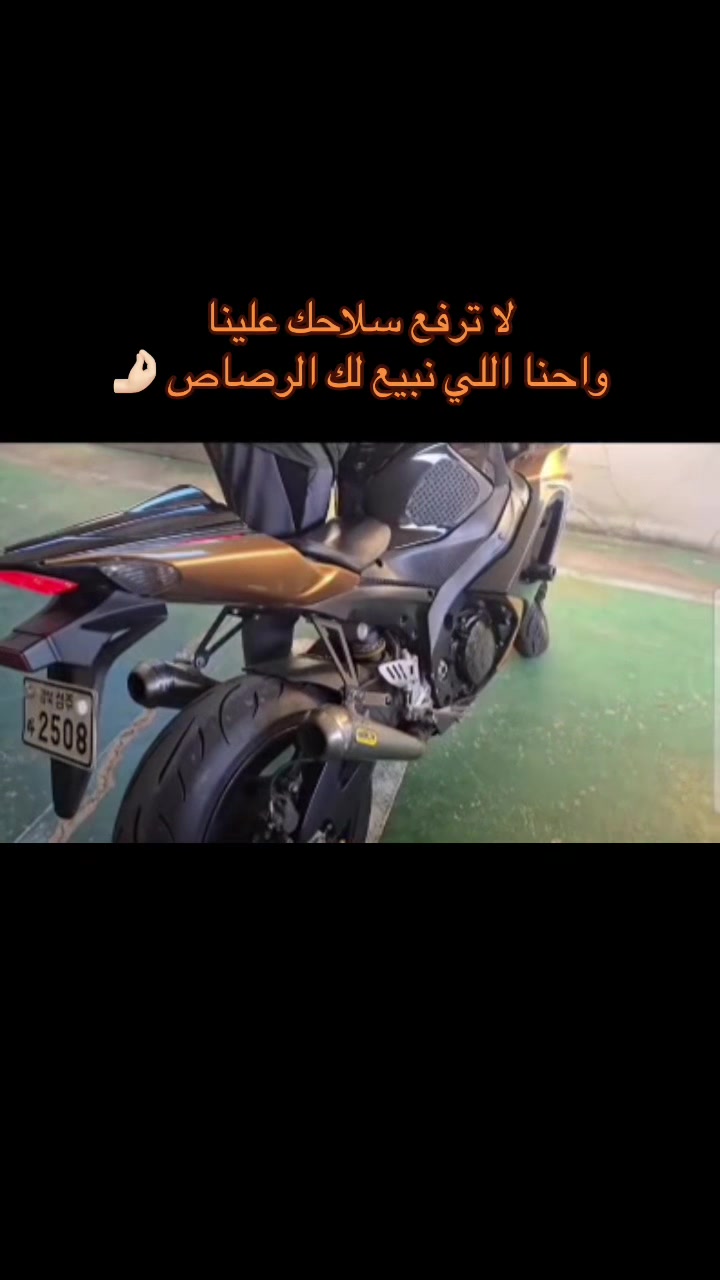 @Amr Safwat 🦅