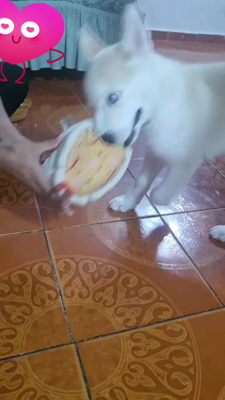 @ðŠðŒð_ðð¶ð°ðžðððð¿D