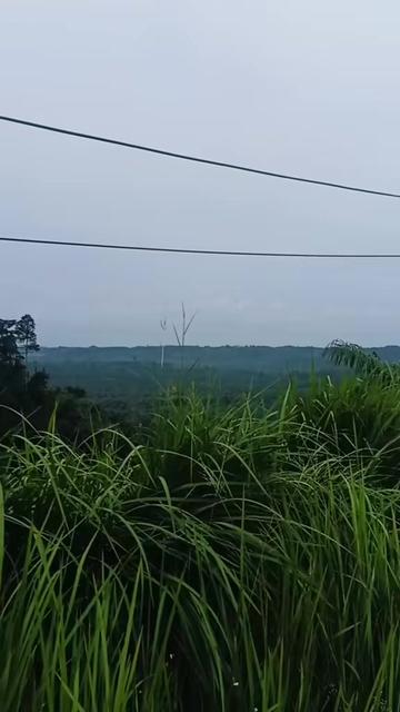 @Dedy Saputra
