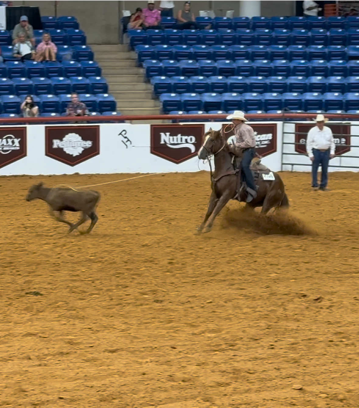 @HD Performance Horses