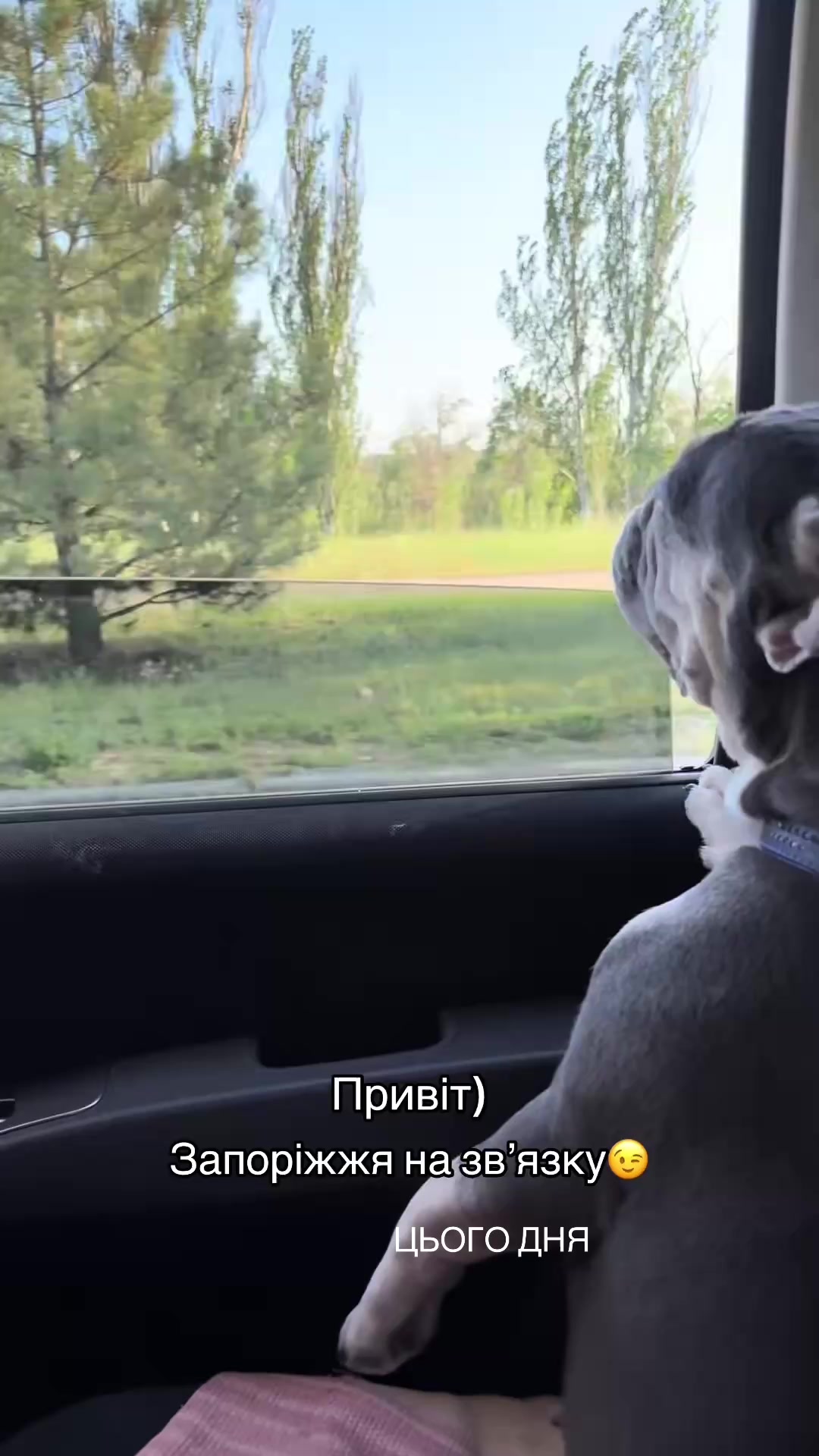 @Натали