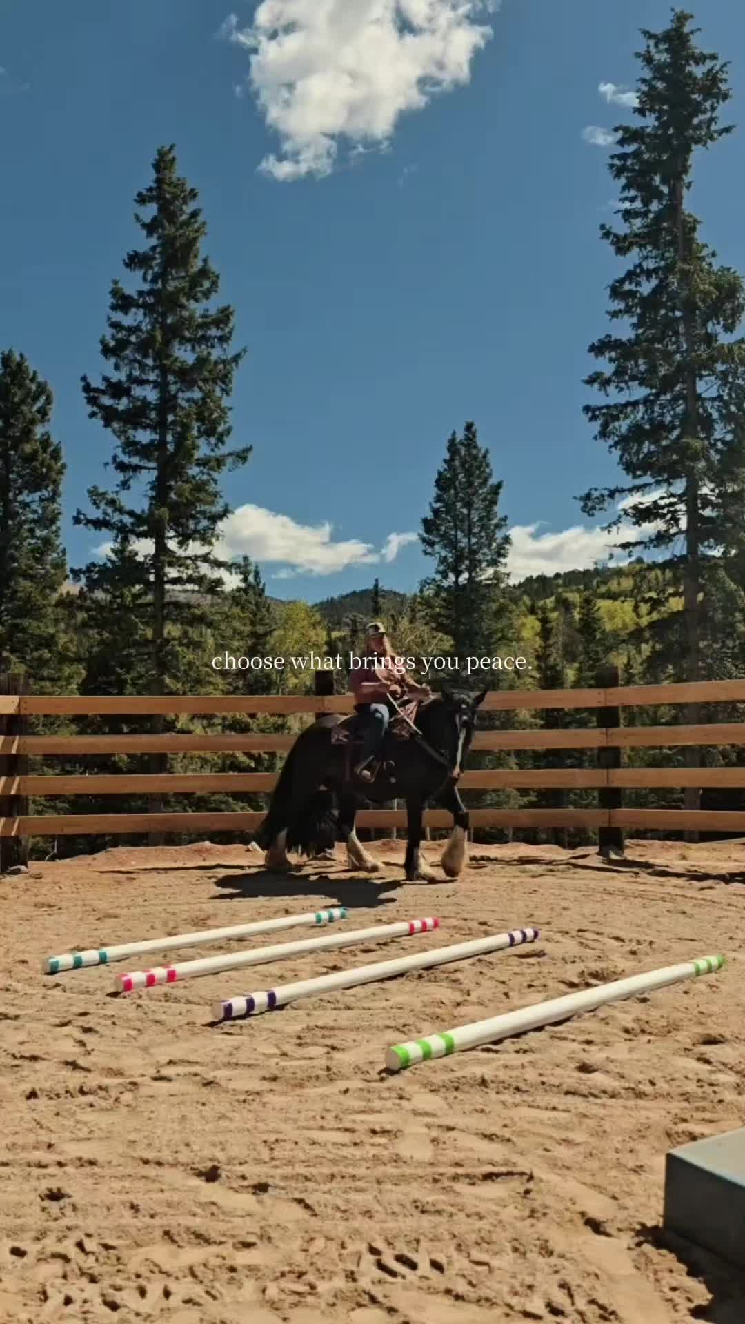 @🐎 ᔕᒪEEᑭY ᕼOᒪᒪOᗯ ᕼOᗰEᔕTEᗩᗪ 🐎