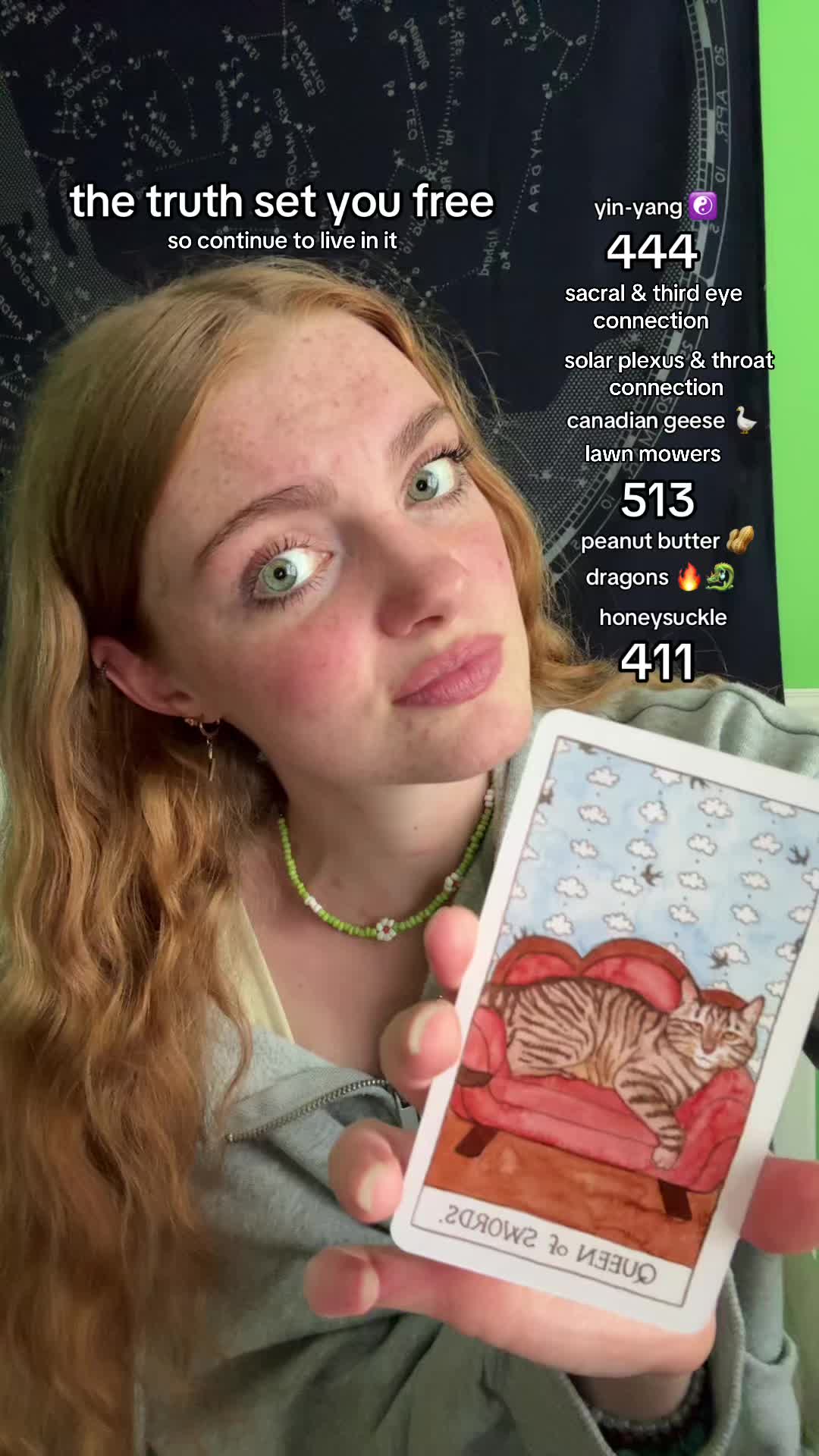 @heidi 🦊🐉🧚⋆⭒˚.⋆