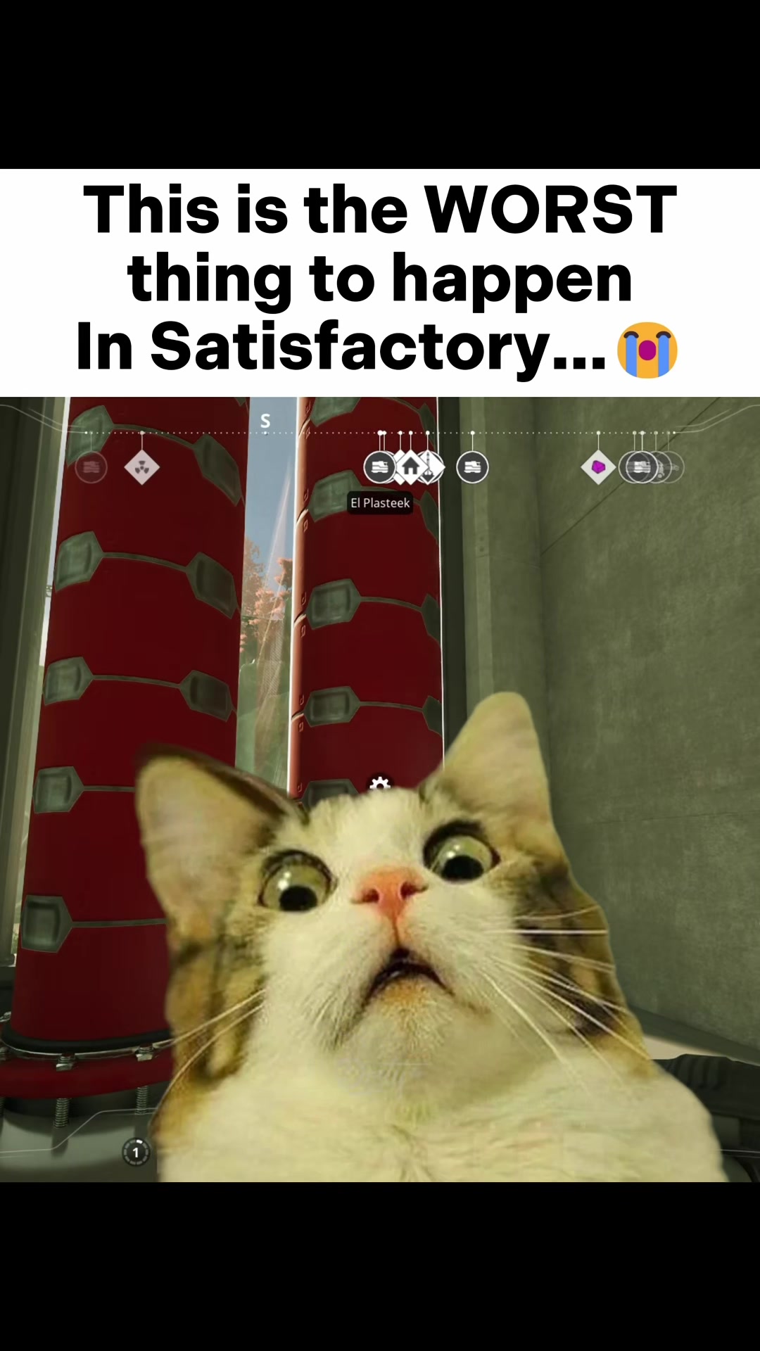 @YoDosty