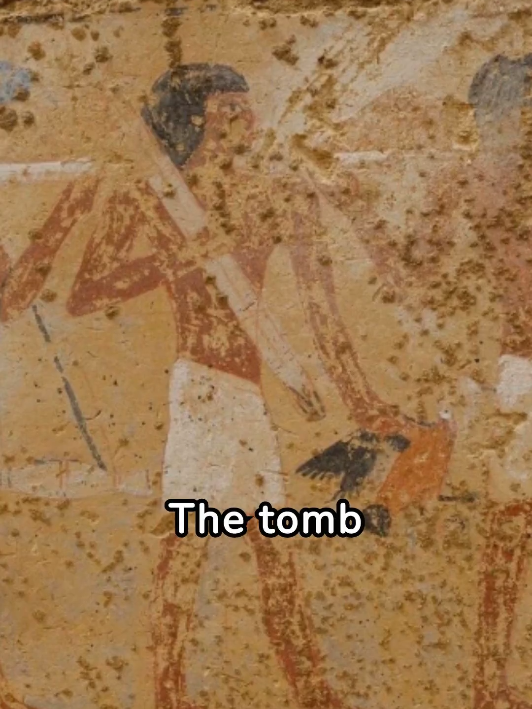 @archaeodiscoveries