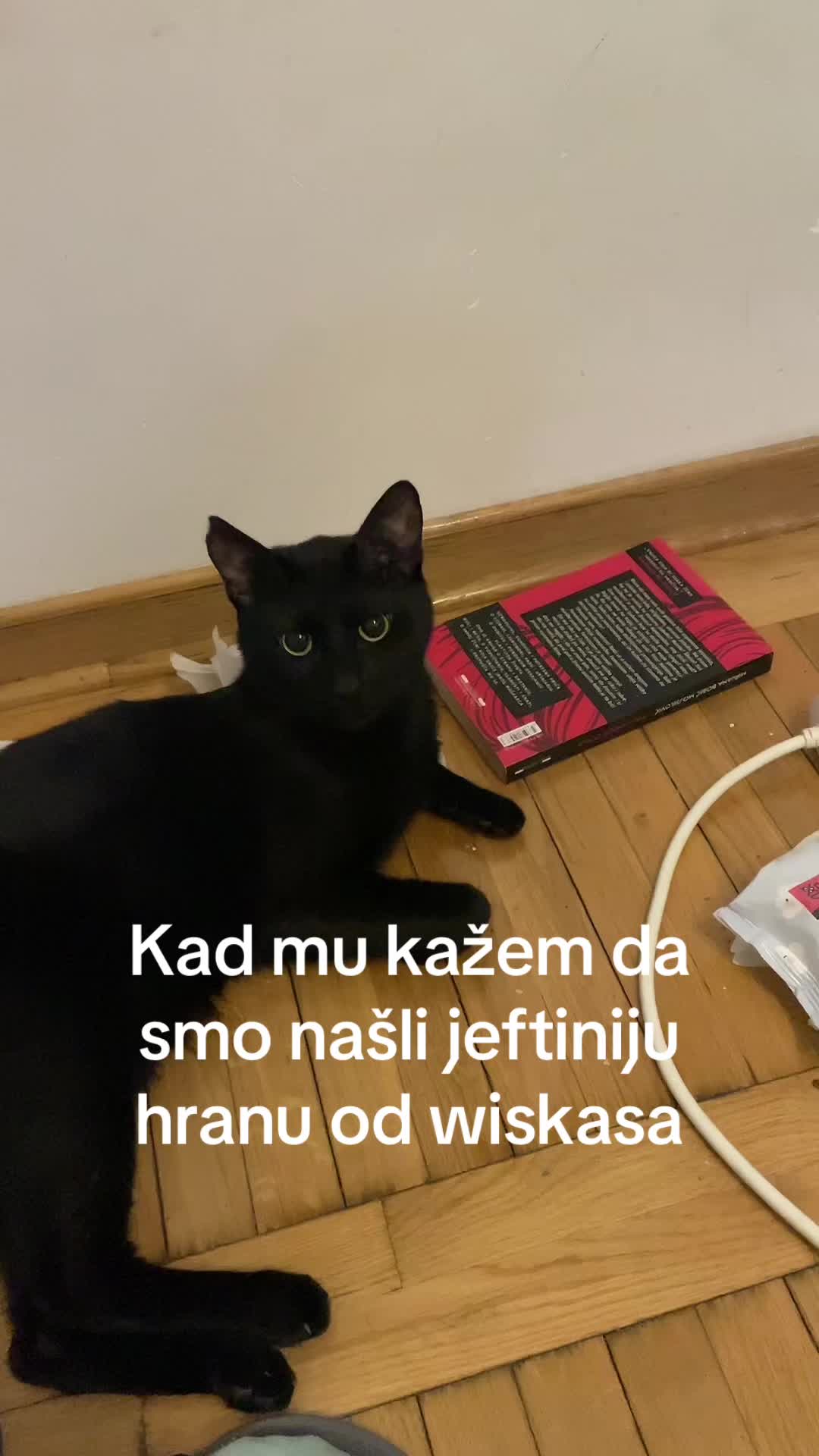 @Jelena Milo&scaron;ević