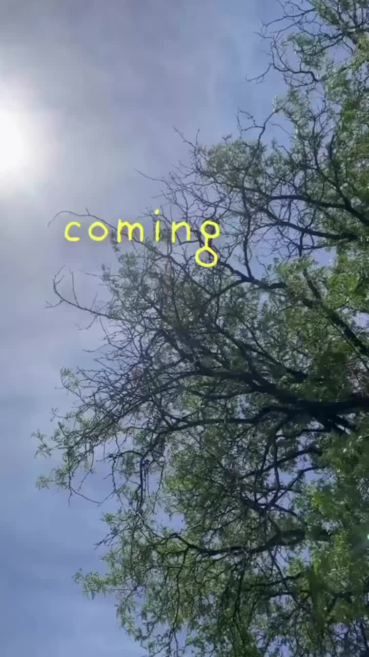 @jsynical