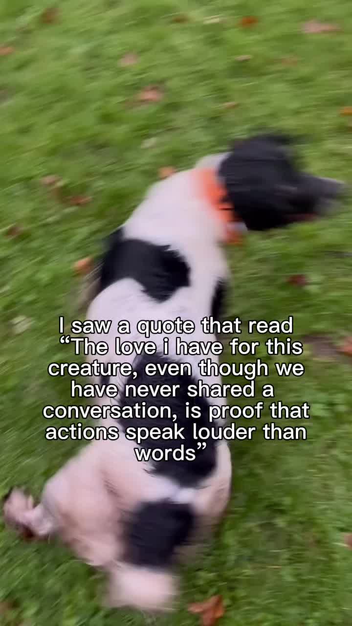 @Ellie Sinclair