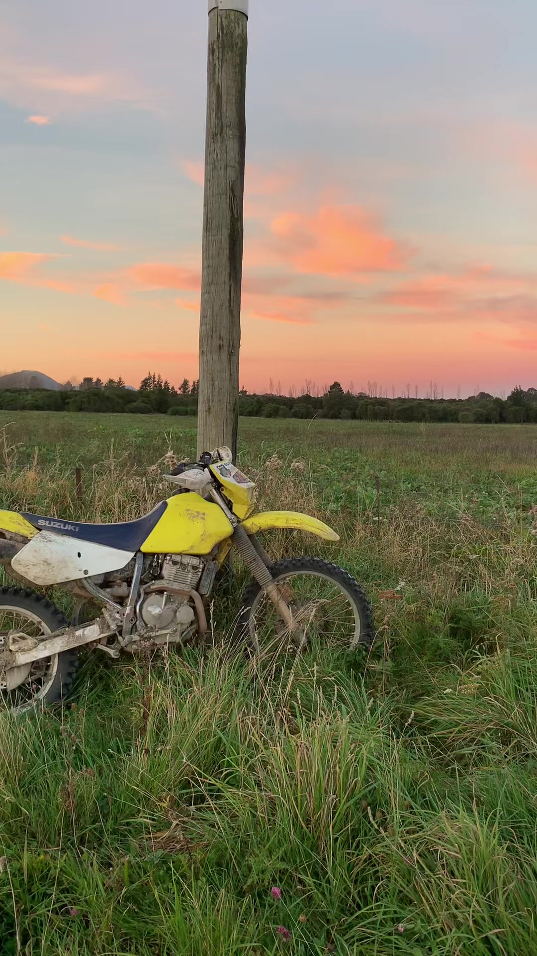 @DRZ Toby🫠