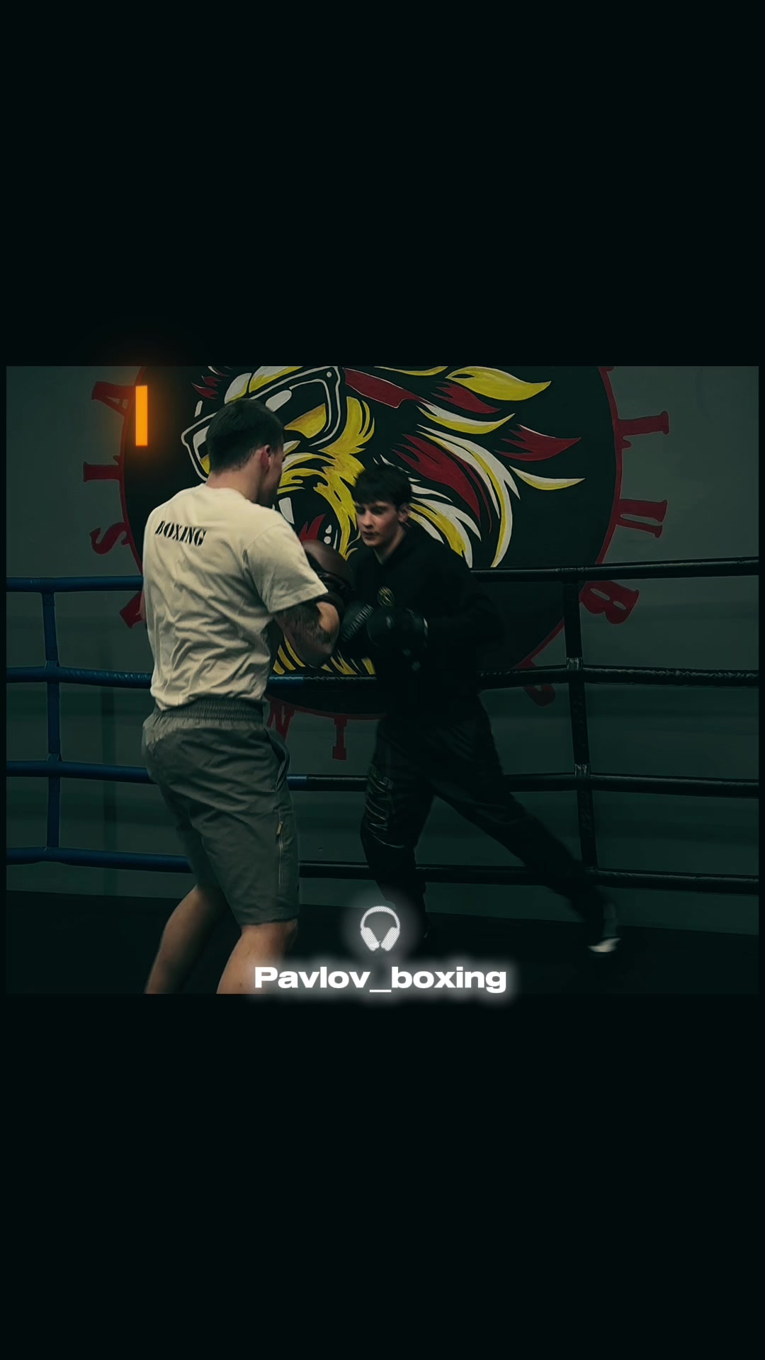 @PAVLOV BOXING