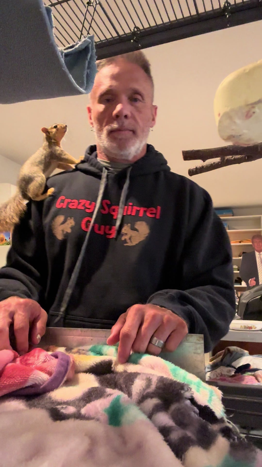 @Squirrel Guy