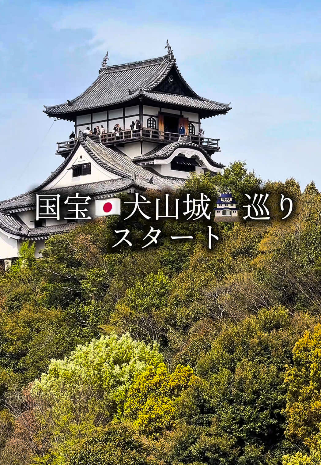 @M社長|チワワと子どもと旅する日常🥂🦚