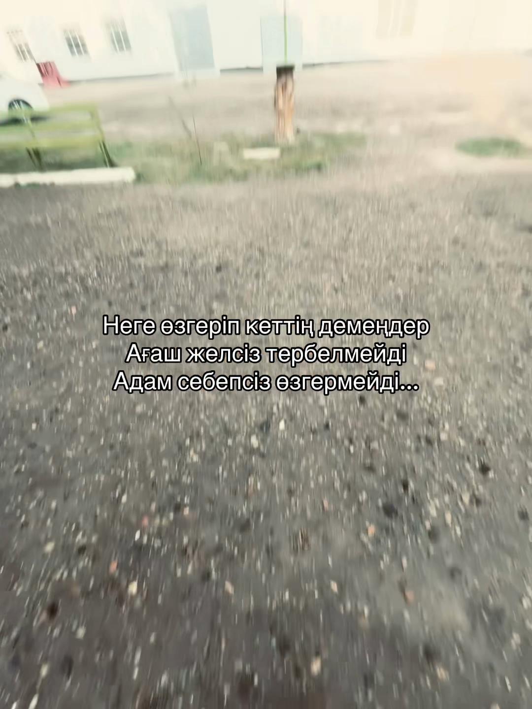 @arslnv.🚶