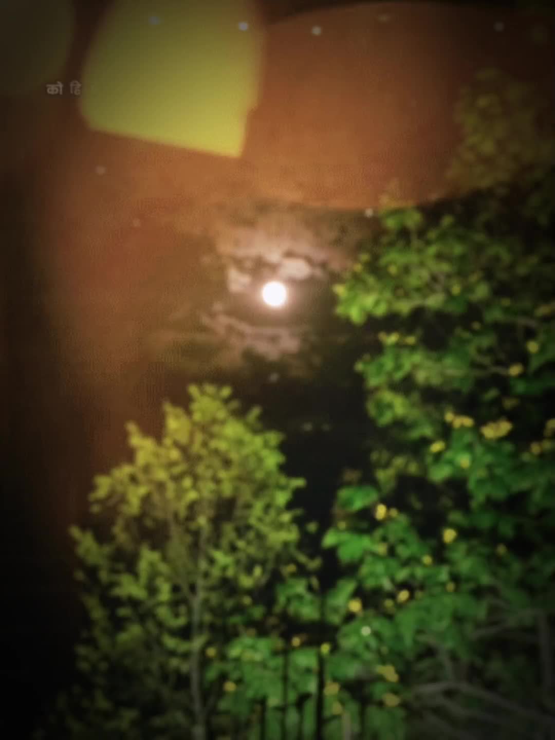 @𝐛𝐞𝐚𝐮𝐭𝐢𝐟𝐮𝐥 𝐥𝐢𝐧𝐞𝐬✓