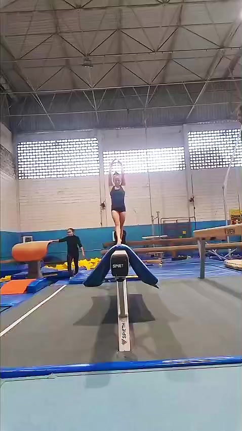 @Diario_de_uma_ginasta