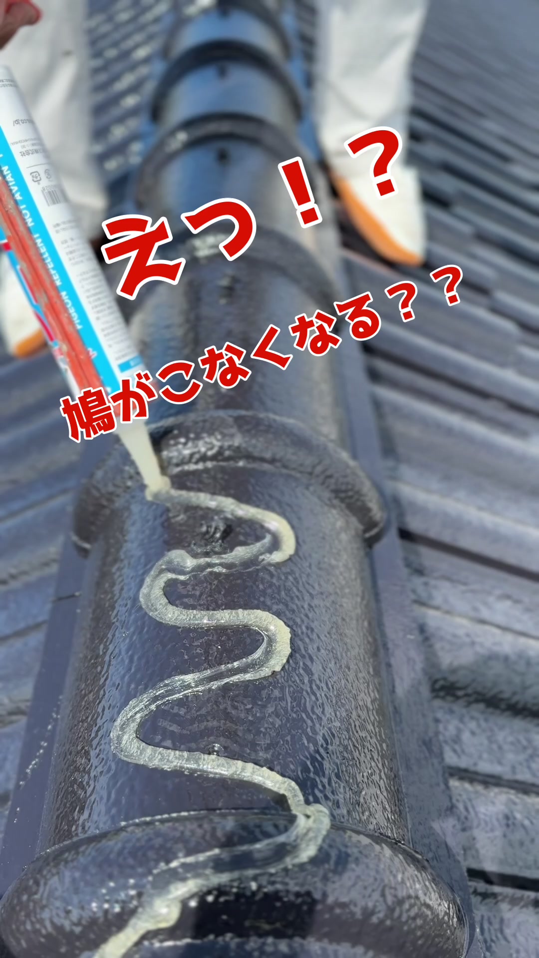@泉州ペイント株式会社/外壁塗装/泉佐野市