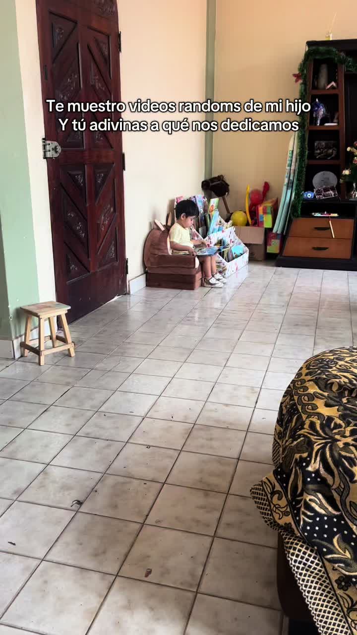 @soygingervanessa