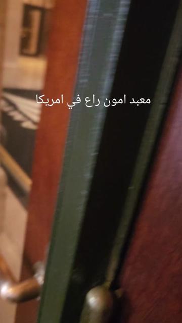 @Dina33953