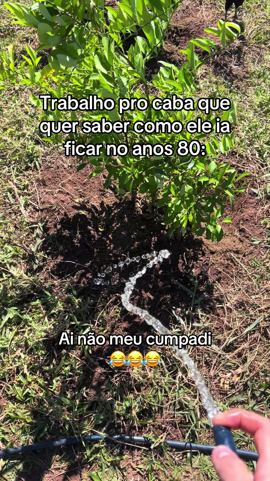 @Nogueiira 🇺🇸🪶