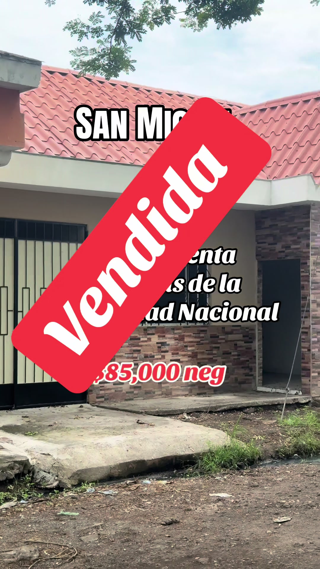 @Marco Ortiz🧸