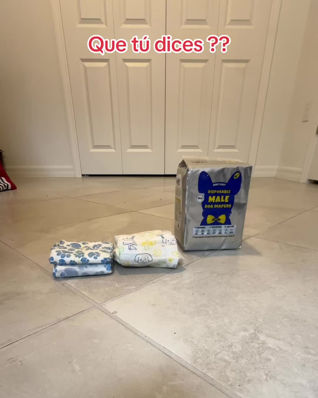 @Oreo & Cookie
