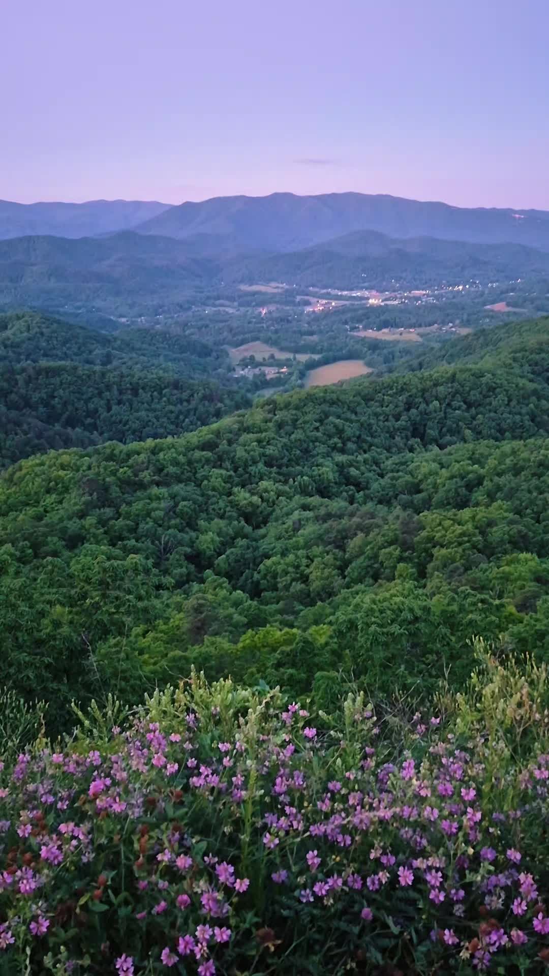 @onelovephotography