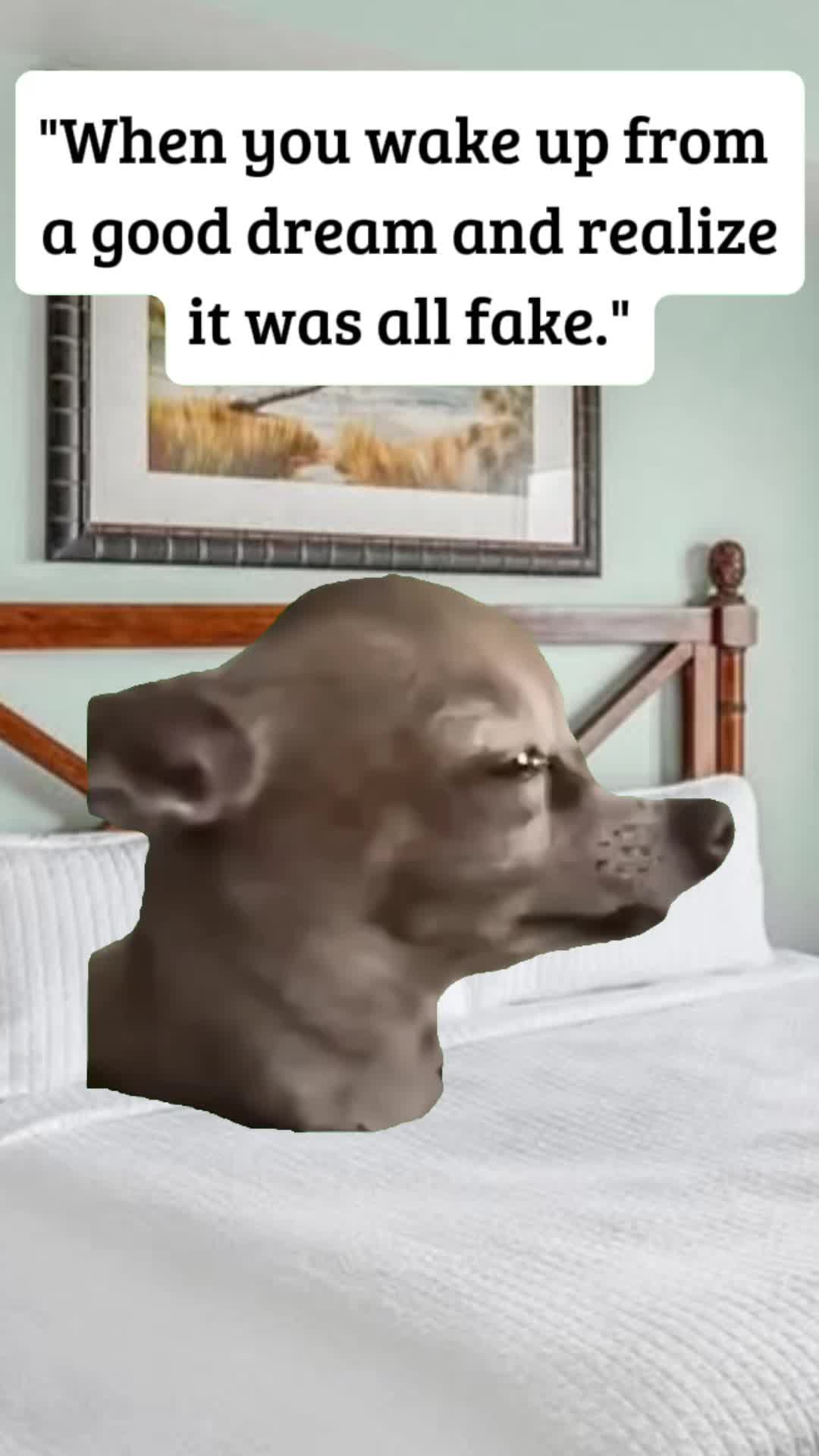 @"Pixie"