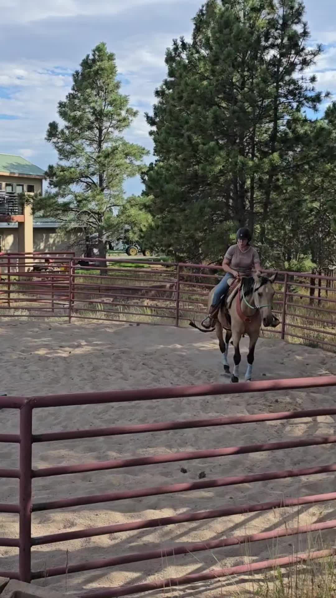 @Gimmeapony