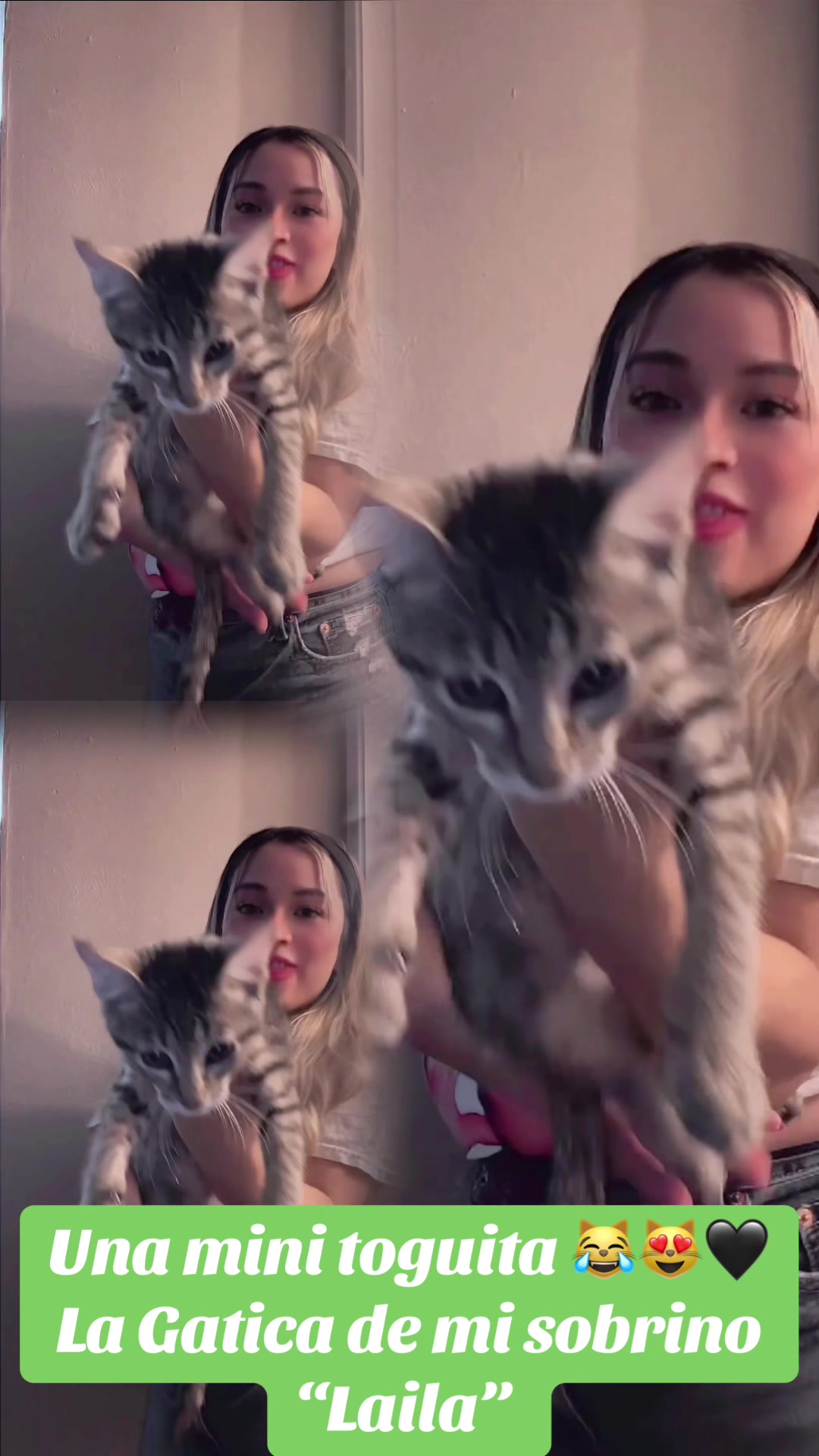@KASANDRI 🩷