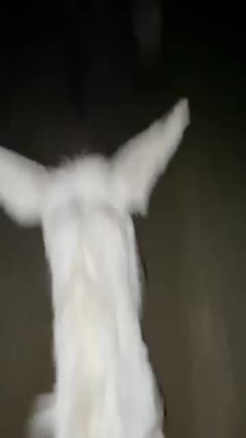 @BigMRanch