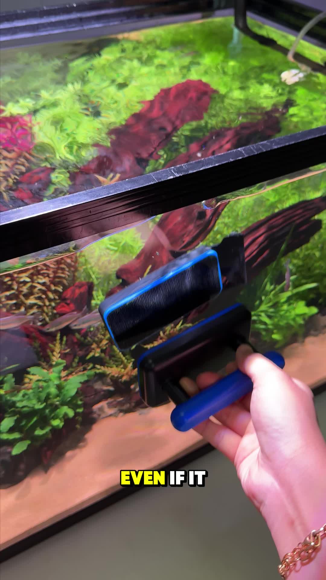 @AQQA Aquarium Store