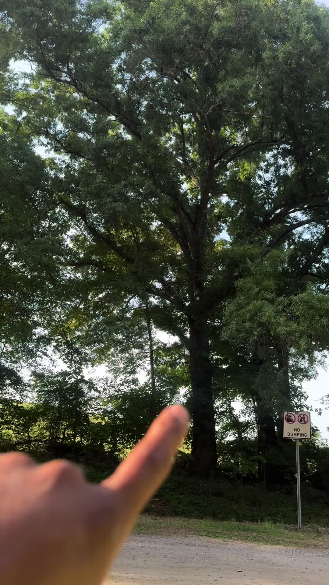 @moveitjunknc