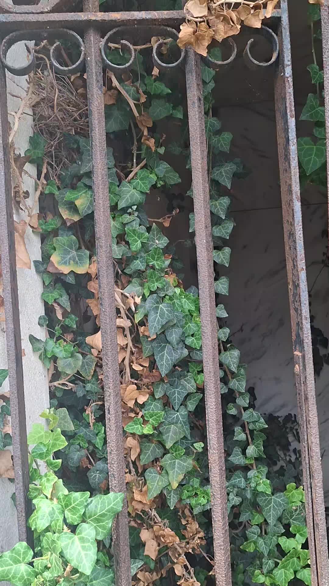 @gardening is Brutal.....