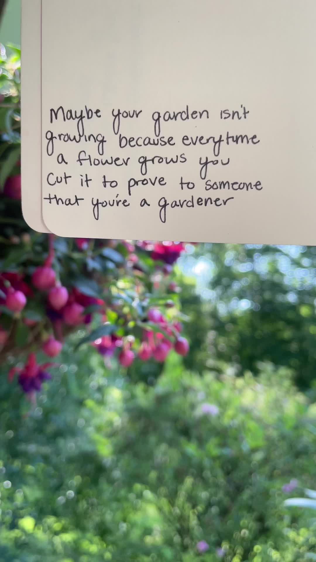@inspiration.fairy
