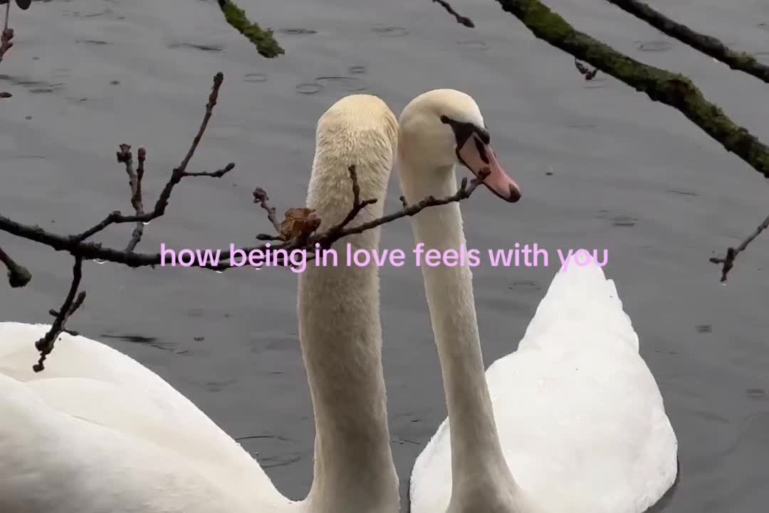 @windedbylove