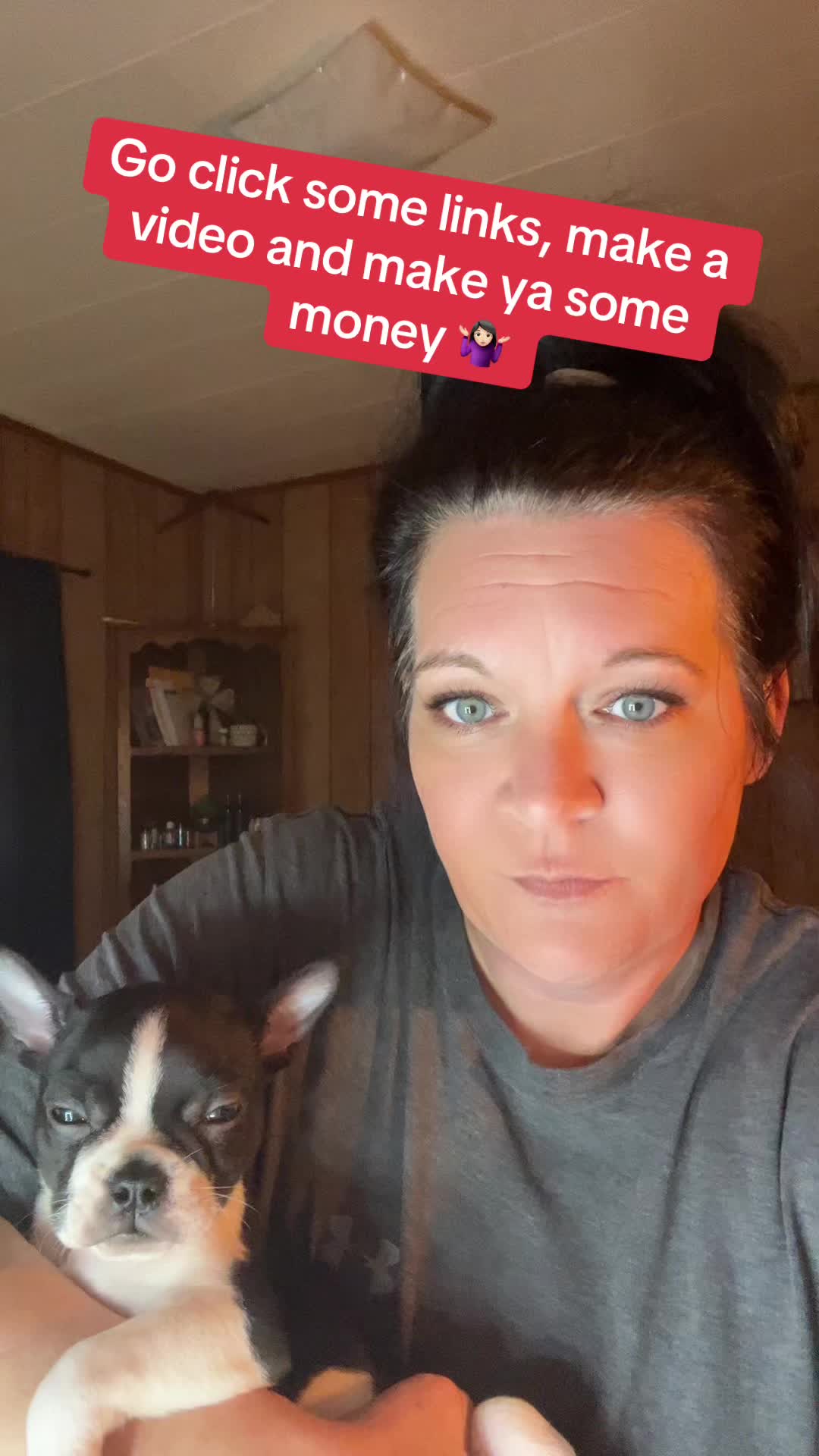 @SE Boston Terriers